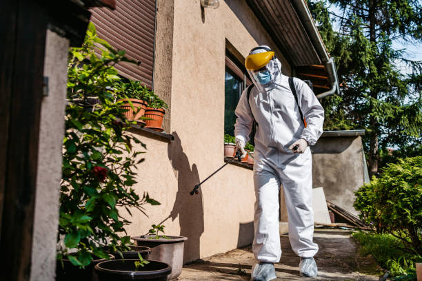 Best Pest Control for Homes  in Murphysboro, IL