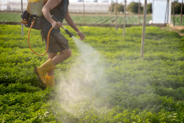 Best Affordable Exterminators  in Murphysboro, IL