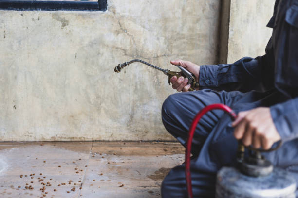 Best Affordable Pest Control Services  in Murphysboro, IL