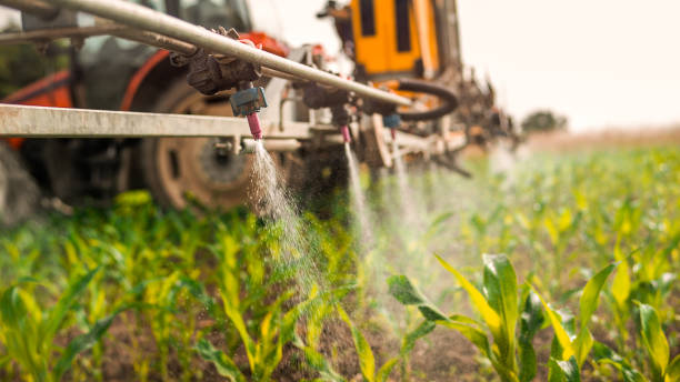 Best Best Pest Control Companies  in Murphysboro, IL